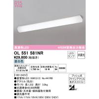 (送料無料) オーデリック OL551581NR キッチンライト LEDランプ 昼白色 非調光 ODELIC | 住設と電材の洛電マート plus