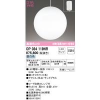 オーデリック OP034119NR 吹き抜け照明 LEDランプ 昼白色 非調光 ODELIC | 住設と電材の洛電マート plus