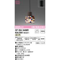(送料無料) オーデリック OP034344WR ペンダントライト LEDランプ 温白色 非調光 ODELIC | 住設と電材の洛電マート plus