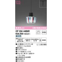 オーデリック OP034446NR ペンダントライト LEDランプ 昼白色 非調光 ODELIC | 住設と電材の洛電マート plus