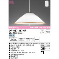 オーデリック OP087317NR ペンダントライト LEDランプ 昼白色 非調光 ODELIC | 住設と電材の洛電マート plus