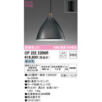 (送料無料) オーデリック OP252230NR ペンダントライト LEDランプ 昼白色 非調光 ODELIC | 住設と電材の洛電マート plus