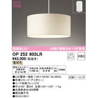 オーデリック OP252603LR ペンダントライト LEDランプ 電球色 非調光 ODELIC | 住設と電材の洛電マート plus