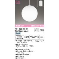 オーデリック OP252841NR 吹き抜け照明 LEDランプ 昼白色 非調光 ODELIC | 住設と電材の洛電マート plus
