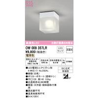 オーデリック OW009357LR バスルームライト LEDランプ 電球色 非調光 ODELIC | 住設と電材の洛電マート plus