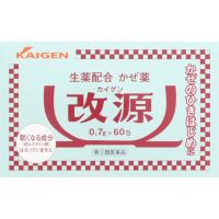 （指定第2類医薬品）改源 カイゲン 60包 | 東京生活館 Yahoo!店