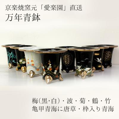 万年青 陶器鉢（花、ガーデニング）のおすすめ人気商品一覧 通販