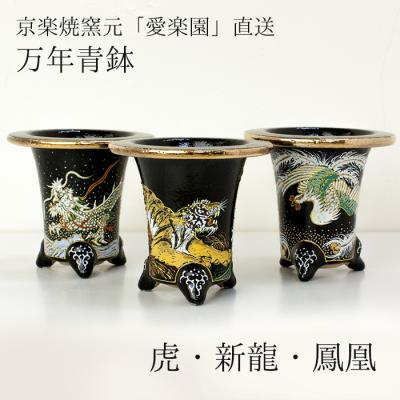 万年青鉢のおすすめ人気商品一覧 通販 - Yahoo!ショッピング