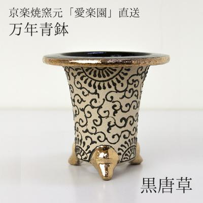 万年青鉢の商品一覧 通販 - Yahoo!ショッピング 万年青鉢の商品一覧 通販 - Yahoo!ショッピング