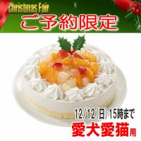 2017 クリスマスケーキ 予約 フルーツケーキ ペット用 :XMAS-CAKE-FRT:RASS JP HOPPE-NI-CHU犬舎 - 通販 - Yahoo!ショッピング