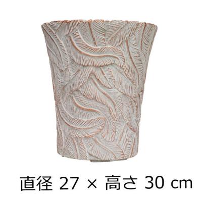白樺（植木鉢）｜鉢、プランター｜園芸用品 | 花、ガーデニング の商品