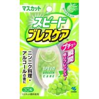小林製薬 スピードブレスケアマスカット 30粒 オーラル 口中衛生用品 口中清涼剤 代引不可 | リコメン堂ホームライフ館
