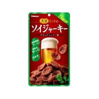 カバヤ食品 ソイジャーキー 45g x8 8個セット 代引不可 | リコメン堂ホームライフ館