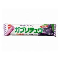 20個セット 明治チューイングガム ガブリチュウ グレープ 1本 x20 代引不可 | リコメン堂ホームライフ館