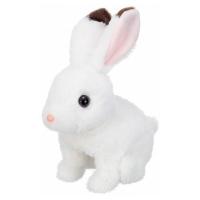 おみみパタパタ こうさぎユッキー イワヤ 玩具 おもちゃ | リコメン堂インテリア館