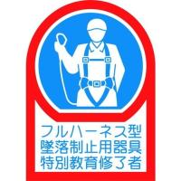 緑十字 ヘルメット用ステッカー フルハーネス型墜落制止用器具特別教育修了者 HL-128 35×25mm 10枚組 オレフィン 233128 代引不可 | リコメン堂生活館