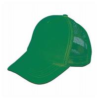 ARTEC カラーダンスキャップ グリーン ATC4955 代引不可 | リコメン堂生活館