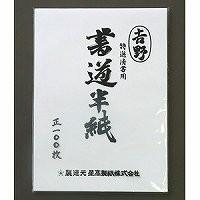 リュウグウ 半紙吉野 ＨＡ−ＹＯ−１００Ｐ | リコメン堂生活館