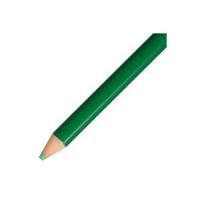 (業務用50セット) トンボ鉛筆 色鉛筆 単色 12本入 1500-07 緑 ×50セット 代引不可 | リコメン堂生活館