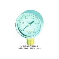 日本精器 圧力計40mm1/4 BN-PG40A-10K 1個 103-6238（直送品） | LOHACO by アスクル(直送品グループ1)