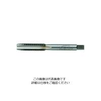 イシハシ精工 IS パック入 ハンド中タップ 1/2NF20 P-S-HT-1/2NF20-2 1本 385-0960（直送品） | LOHACO by アスクル(直送品グループ1)