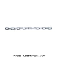 トラスコ中山 TRUSCO チューブ保護ステンレスカットチェーン 1.6mmX5m TSCV-165 1本 780-4091（直送品） | LOHACO by アスクル(直送品グループ1)