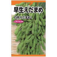 ニチノウのタネ　早生えだまめ（白鳥） 4960599187000 1セット（5袋入）（直送品） | LOHACO by アスクル(直送品グループ1)