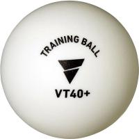 VICTAS(ヴィクタス) 卓球用 練習球 VT40+トレーニングボール 100球入 015700 1セット(100球入×1)（直送品） | LOHACO by アスクル(直送品グループ1)