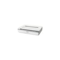 エプソン　Ａ3フラットベッドスキャナー／600ｄｐｉ／Ａ4片　面4秒／1枚（300ｄｐｉ）　DS-50000　1台　（直送品） | LOHACO by アスクル(直送品グループ2)