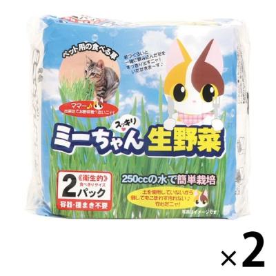 猫草のおすすめ人気商品一覧 通販 - Yahoo!ショッピング