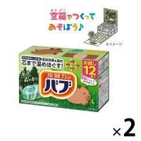 【数量限定】バブ 森の香り お試し クラフトパッケージ 1セット（12錠入×2箱） 花王 （透明タイプ） 親子で工作＆塗り絵 | LOHACO by アスクル