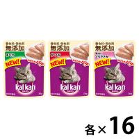 （お得なアソート）カルカン 成猫 キャットフード パウチ やわらかパテ 無添加素材 48袋（16袋×3種）ウェット | LOHACO by アスクル