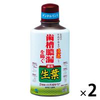 生葉液（しょうようえき） 歯槽膿漏を防ぐ デンタルリンス 液体歯磨き ハーブミント味 330mL×2本 小林製薬 マウスウォッシュ | LOHACO by アスクル