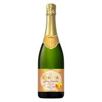 チョーヤ梅酒 ザ・チョーヤ 梅サルーテ 5度 750ml 1本 スパークリング梅酒 | LOHACO by アスクル