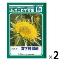 ショウワノート ジャポニカ学習帳 漢字練習帳（かんじ） B5 120字 JL-50-2 2冊 | LOHACO by アスクル