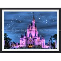 絵画風 壁紙ポスター ディズニーワールドの夜景 シンデレラ城 フロリダ 額縁印刷 キャラクロ Dnw 006sgf1 784mm 585mm Dnw 006sgf1 レアルインターショップ 通販 Yahoo ショッピング