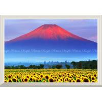 当店top3 絵画風 壁紙ポスター 赤富士 朝焼けの富士山と向日葵畑 ひまわり 幸運 開運 縁起物 風水 パワースポット Fjs 033a1 A1版 0mm 585mm Fjs 033a1b レアルインターショップ 通販 Yahoo ショッピング
