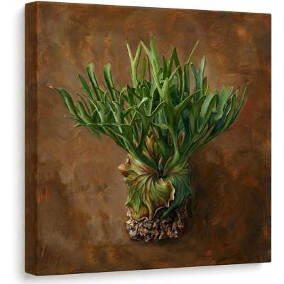 壁掛け 植物 シダ植物（楽器、手芸、コレクション）のおすすめ人気商品