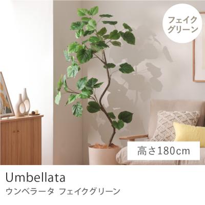 ウンベラータ 180cm（人工観葉、フェイクグリーン） | 花