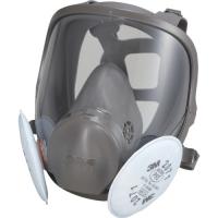 3M 取替式防じんマスク 6000F 2071-RL2 Lサイズ 代引不可 | リコメン堂