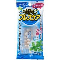 小林製薬 噛むブレスケア スッキリクールミント 25粒 オーラル 口中衛生用品 口中清涼剤 代引不可 | リコメン堂