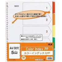 テージー カラーインデックスPP A4 5ヤマ IN-3405 | リコメン堂