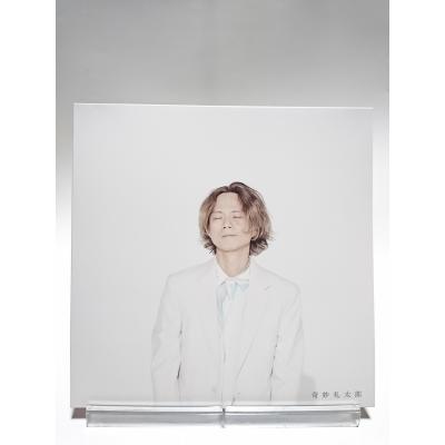 奇妙礼太郎の商品一覧 通販 - Yahoo!ショッピング
