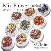 エスミント Smint MIX Flower serise1 9色アソートセット ネコポス SMINT ネイル アクセサリー クラフト ドライフラワー お花 | コスメ&ドラッグNY