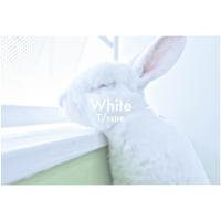 新品CD 004■T/ssue/White/RCMN1001 | ステップREIKODO