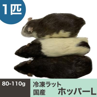 冷凍マウス リタイアのおすすめ人気商品一覧 通販 - Yahoo!ショッピング