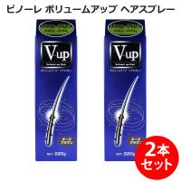 育毛スプレー ピノーレ ボリュームアップ ヘアスプレー ダークブラウン 220g 2本セット 送料込み(送料無料) 同梱区分A(在庫切れの場合あり) | リージュ化粧品