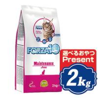 FORZA10 キャット メンテナンス フィッシュ 2kg フォルツァディエチ キャットフード 【正規品】a | Relish