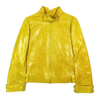 ルイヴィトン ジャケット（LOUIS VUITTON／ファッション）（色