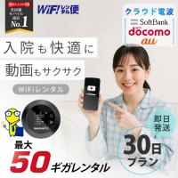 ポケットwifi wifi レンタル レンタルwifi wi-fiレンタル ポケットwi-fi 1ヶ月 30日 softbank ソフトバンク 大容量 モバイルwi-fi ルーター 501hw | WiFiレンタル便